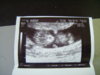 DSCF9453.jpg