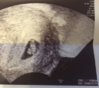 ImageUploadedByForum BabyBoom1441980916.234851.jpg