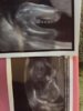 ImageUploadedByForum BabyBoom1447275958.589017.jpg ImageUploadedByForum BabyBoom1447275958.589017.jpg