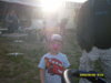 SDC10561.jpg