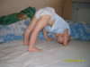 SDC10575.jpg