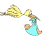 003.gif 003.gif