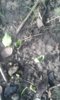 20160129_112458.jpg 20160129_112458.jpg