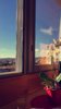 ImageUploadedByForum BabyBoom1458287799.332843.jpg