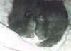 IMG_20160523_115632.jpg