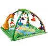 fisher-price-mata-edukacyjna-rainforest-k4562-b-iext39529658.jpg