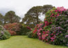 Killarney_National_Park_-_Muckross_Garden.jpg