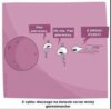 FB_IMG_1484211934035.jpg