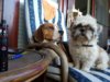 20170521_154244.jpg