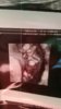 received_1852496458403858.jpeg