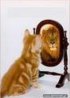 YJ9PCA1DGI3KCA89QP6TCA7JE7YNCAZ7FTC8CA8ISBKZCAFYBCE8CARI1YAJCAU4QCLWCA39FGMACAXF6M3BCAMA9KEDCAV9.jpg