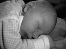 DSC00517.jpg