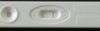 IMAG1216_1.jpg