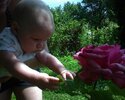 DSC00083.jpg