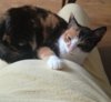 IMG_20170912_090724.jpg