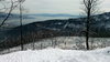 IMG_20180203_111348.jpg