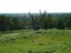 RICHMOND PARK-KINGSTON (7).jpg