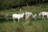 DSC00843.jpg