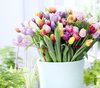 tulipany_764627.jpg