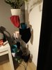 20180312_204545.jpg