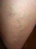 DSCN3413.jpg
