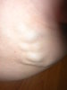 DSCN3414.jpg