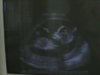 DSCN2220.jpg
