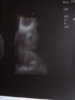 RSCN2287.jpg