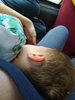 IMG_20180507_143218_1.jpg