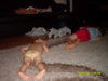 SDC11061.jpg
