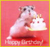 happy-birthday-hamster.jpg