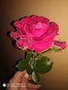 IMG_20180531_221404.jpg