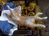 IMG00150.jpg