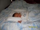 SDC10120.jpg
