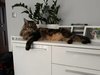 20180717_180444.jpg