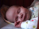 DVC00416.jpg