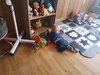 IMG_20180929_115924.jpg