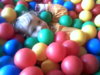 090509172044.jpg