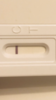 F281494E-15C5-475F-9C0B-54552370B3D4.png