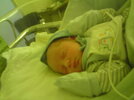 DSC00118.jpg