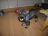 DSC01063.jpg