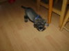 DSC01054.jpg