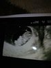 IMG_20181204_182233.jpg