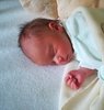 IMG_20181205_183416.jpg