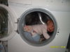 SDC11291.jpg