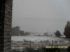 SDC10040.jpg