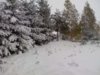 Zdjęcie0069.jpg