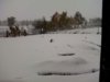 Zdjęcie0072.jpg