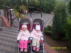 SDC11306.jpg
