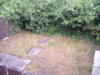 DSCF0018.jpg